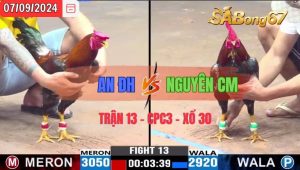 Trận 13 CPC3 07/09/2024 Anh An ĐH Đá Xổ Anh Nguyên CM