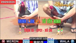 Trận 15 CPC1 09/09/2024 Anh Minh L.An Đá Xổ Anh Tú Tây Ninh