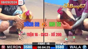 Trận 16 CPC3 08/09/2024 Anh Dũng SG Đá Xổ Anh Mo TG