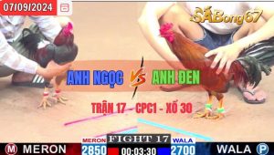 Trận 17 CPC1 07/09/2024 Anh Ngọc Đá Xổ Anh Đen