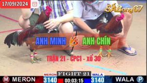 Trận 21 CPC1 17/09/2024 Anh Minh Đá Xổ Anh Chín