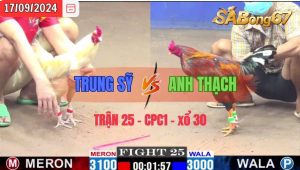 Trận 25 CPC1 17/09/2024 Anh Trung Sỹ Đá Xổ Anh Thạch