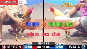 Trận 25 CPC3 16/09/2024 Anh Un CPC Đá Xổ Anh Phương Tóc Dài