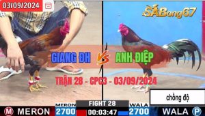 Trận 28 CPC3 03/09/2024 Anh Giang ĐH Đá Xổ Anh Điệp