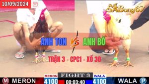 Trận 3 CPC1 10/09/2024 Anh Ton Đá Xổ Anh Bò