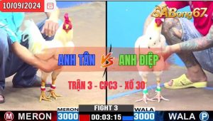 Trận 3 CPC3 10/09/2024 Anh Tân TG Đá Xổ Anh Điệp