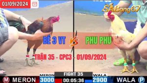 Trận 35 CPC3 01/09/2024 Anh Bé 3 Vũng Tàu Đá Xổ Anh Phu Phu