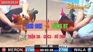 Trận 36 CPC3 08/09/2024 Anh Đen Đá Xổ Anh Dũng Bến Tre