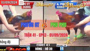 Trận 41 CPC3 01/09/2024 Anh Phước CT Đá Xổ Anh Phu Phu