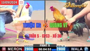 Trận 5 CPC3 11/09/2024 Anh Thuận KG Đá Xổ Anh Quang VT