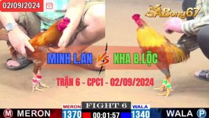 Trận 6 CPC1 02/09/2024 Anh Minh Long An Đá Xổ Anh Kha Bảo Lộc