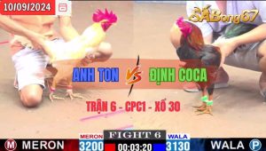 Trận 6 CPC1 10/09/2024 Anh Ton Đá Xổ Anh Định Coca