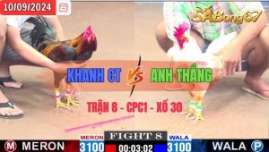 Trận 8 CPC1 10/09/2024 Anh Khanh CT Đá Xổ Anh Thắng