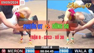 Trận 8 CPC3 09/09/2024 Anh Phước CT Đá Xổ Anh Dũng SG