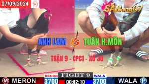 Trận 9 CPC1 07/09/2024 Anh Lam Đá Xổ Anh Tuấn Hóc Môn