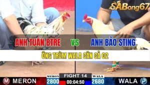 TRẬN 14 CPC2 15/11/2024-Ông Trùm Wala Cân Cả C2