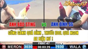 TRẬN 47 CPC3 19/11/2024-Đồ Anh Bảo Quá Ngon,Anh Em Biện Hư !