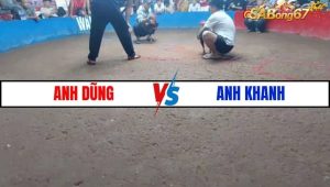 TRẬN 1 BỒ HOA LƯ 2/1/2025