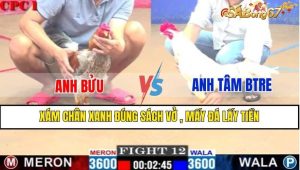 TRẬN 12 CPC1 4/1/2025