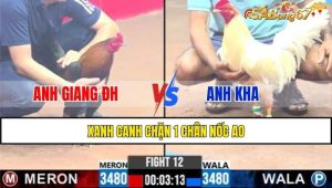 TRẬN 12 CPC3 11/1/2025