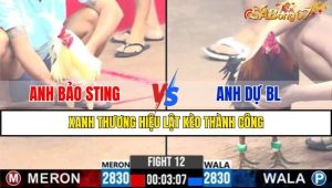 TRẬN 12 CPC3 12/1/2025