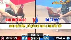 TRẬN 13 CPC3 12/1/2025