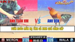 TRẬN 2 CPC1 4/1/2025