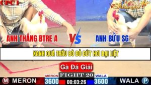 TRẬN 20 CPC1 18/1/2025