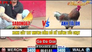 TRẬN 22 CPC1 18/1/2025