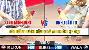 TRẬN 22 CPC3 17/1/2025