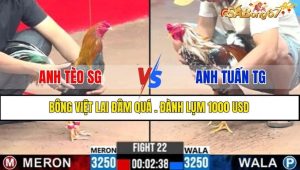 TRẬN 22 CPC3 22/1/2025