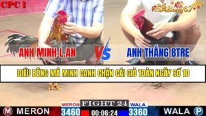 TRẬN 24 CPC1 18/1/2025