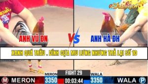 TRẬN 29 CPC3 21/1/2025