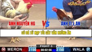 TRẬN 3 CPC2 17/1/2025