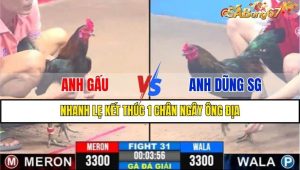 TRẬN 31 CPC3 12/1/2025