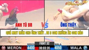 TRẬN 32 CPC3 6/1/2025