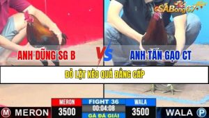 TRẬN 36 CPC3 23/1/2025