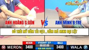 TRẬN 37 CPC3 23/1/2025