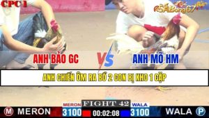 TRẬN 42 CPC3 6/1/2025