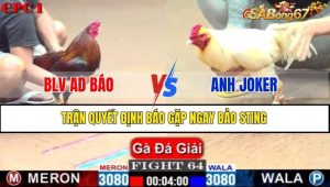TRẬN 64 CPC1 16/1/2025