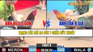 TRẬN 8 CPC3 23/1/2025