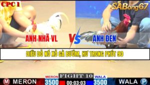 TRẬN 10 CPC1 24/02/2025 : ANH NHÃ VL VS ANH ĐEN
