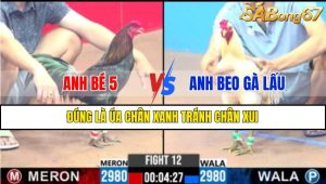 TRẬN 12 CPC3 24/02/2025 : ANH BÉ 5 VS ANH BEO GÀ LẤU