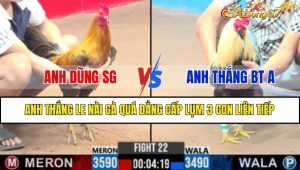 TRẬN 22 CPC3 06/02/2025: ANH DŨNG SG VS ANH THẮNG BT A