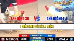TRẬN 32 CPC3 06/02/2025: ANH DŨNG SG VS ANH HOÀNG LONG AN