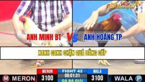 TRẬN 42 CPC3 06/02/2025 : ANH MINH BẾN TRE VS ANH HOÀNG TP