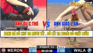 TRẬN 11 CPC2 28/02/2025