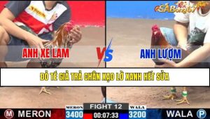TRẬN 12 CPC2 14/2/2025