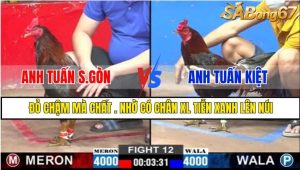 TRẬN 12 CPC2 26/02/2025