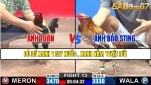 TRẬN 13 CPC2 26/02/2025